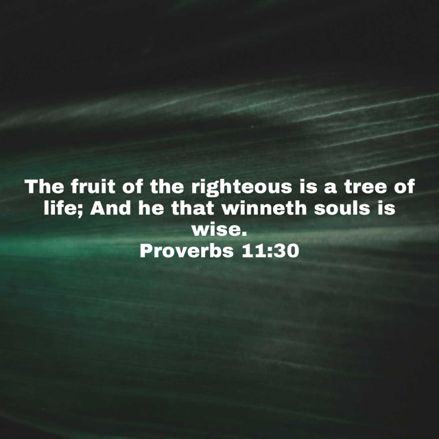 Scripture graphic from September 29, 2026